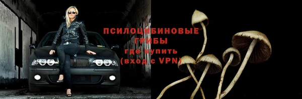 ПСИЛОЦИБИНОВЫЕ ГРИБЫ Дмитровск