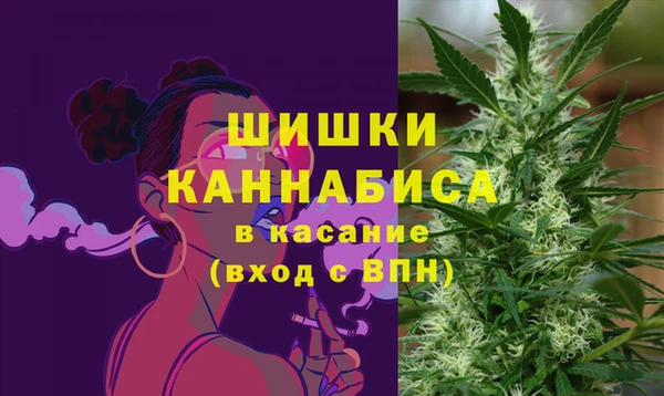 ПСИЛОЦИБИНОВЫЕ ГРИБЫ Дмитровск