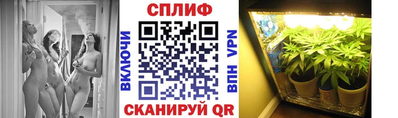 купить  сайты  Кадников  Конопля сатива 